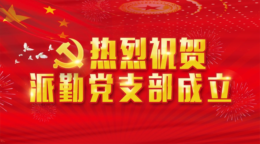 派勤公司成立党支部 以党建工作激发企业凝聚力